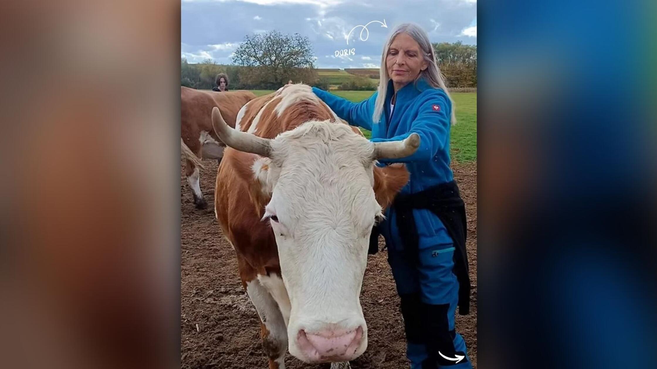 2026-04-01_14-36_bild_erweitern