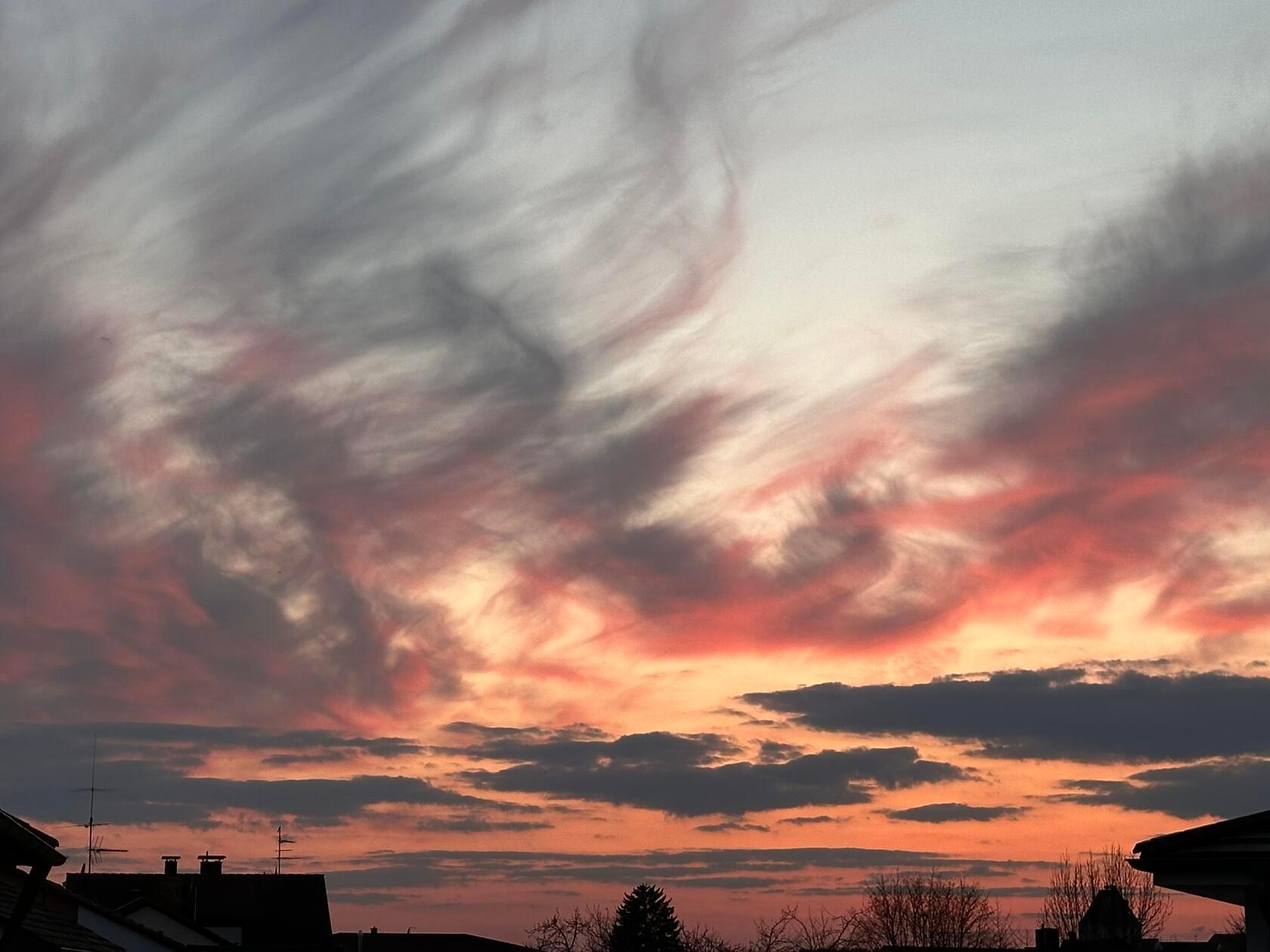 "Farbenspiel" hat unsere Leserin Petra Gaukler ihr Bild genannt.