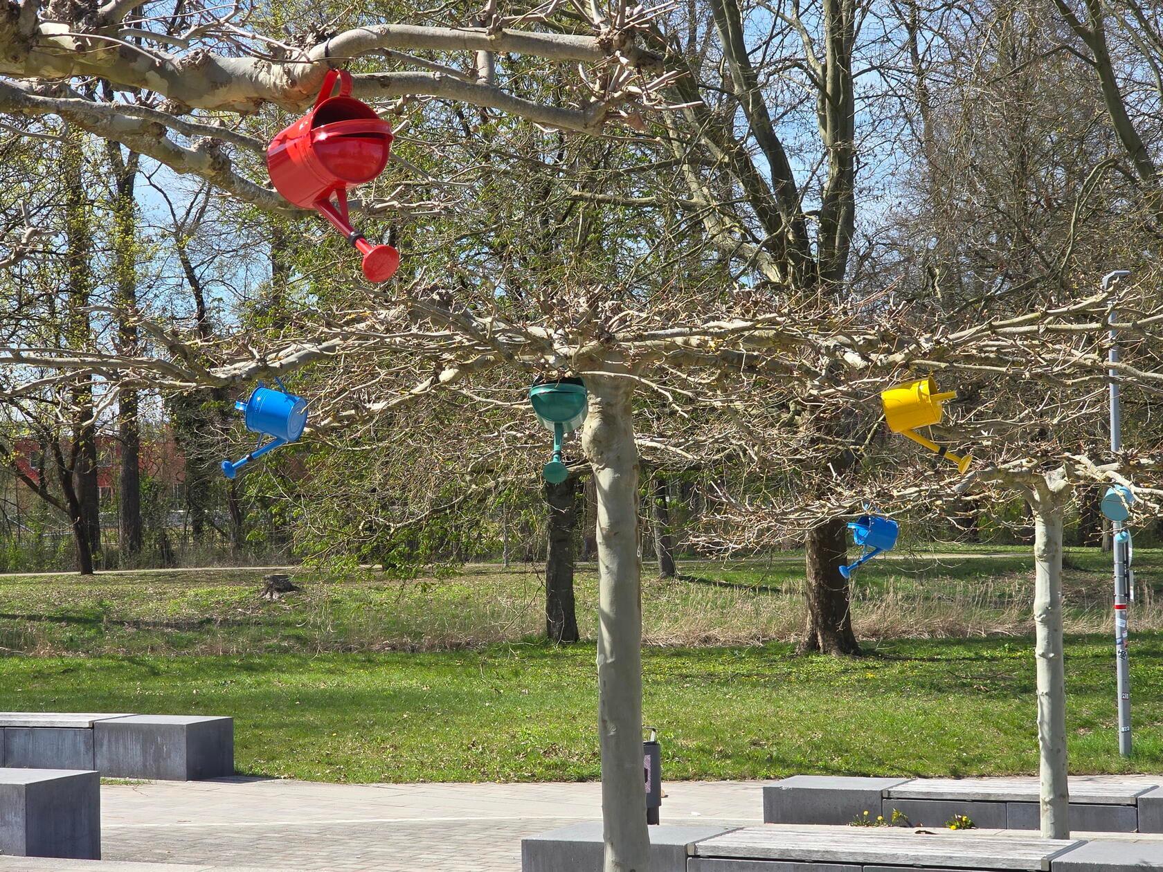 "Die Stadt wird bunt - der Frühling kommt in großen Schritten" schreibt unser Leser Siegfried Mandel zu seinem Bild.