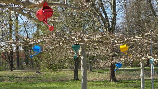 "Die Stadt wird bunt - der Frühling kommt in großen Schritten" schreibt unser Leser Siegfried Mandel zu seinem Bild.