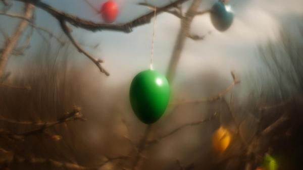 "Osterzeit" hat unser Leser Theo Körner sein Bild genannt, dass er mit einem Vintageobjektiv gemacht hat.