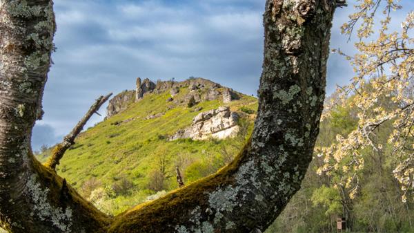 Unsere Leserin hat uns sonnig hübsche Impressionen vom Walberla geschickt.
