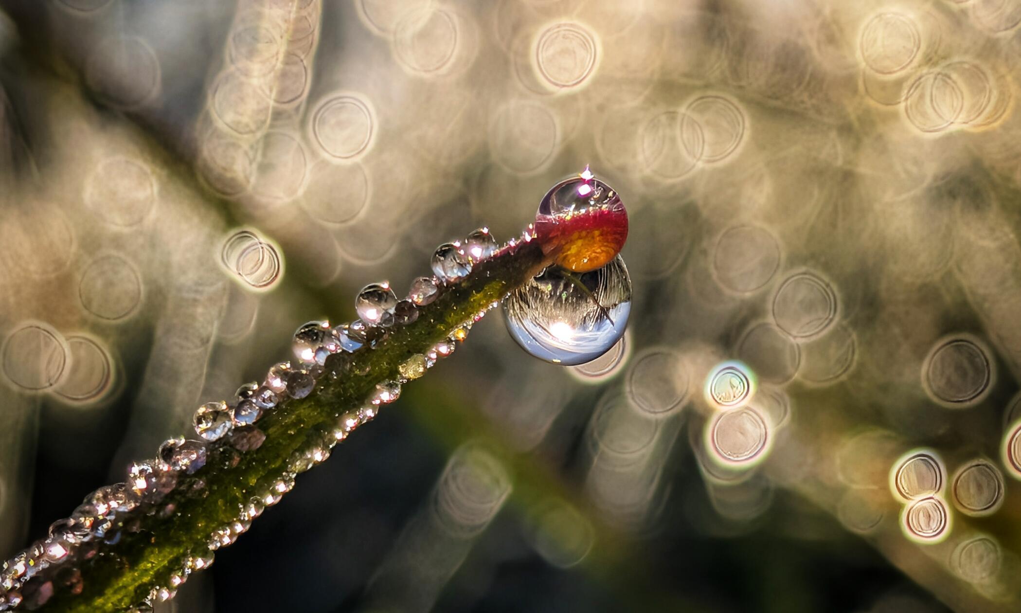 PXL_20260405_055821902