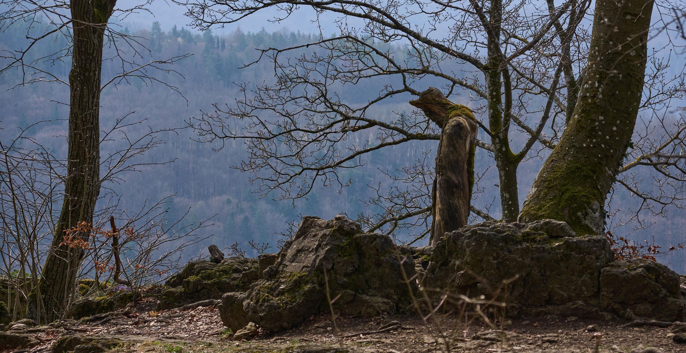 Ein mysteriöser Waldgeist auf der Houbirg oberhalb von Happurg.