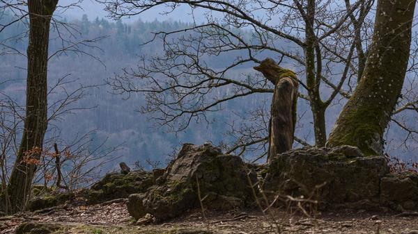 Ein mysteriöser Waldgeist auf der Houbirg oberhalb von Happurg.