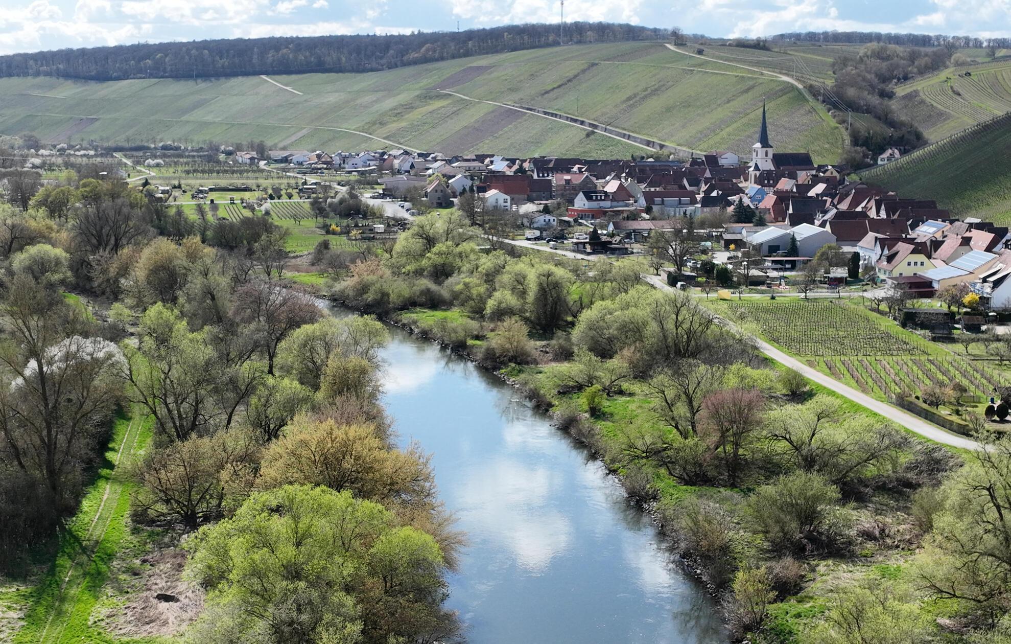 Escherndorf aus der Vogelperspektive – aufgenommen mit einer Drohne vom alten Main aus.