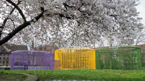 Blütenpracht auf der Insel Schütt in Nürnberg.