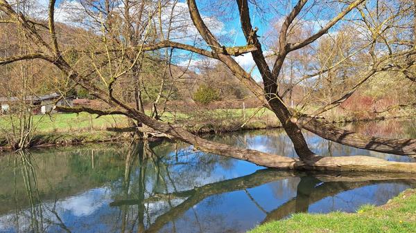 Entlang der Pegnitz bei einer Wanderung in der Hersbrucker Schweiz.