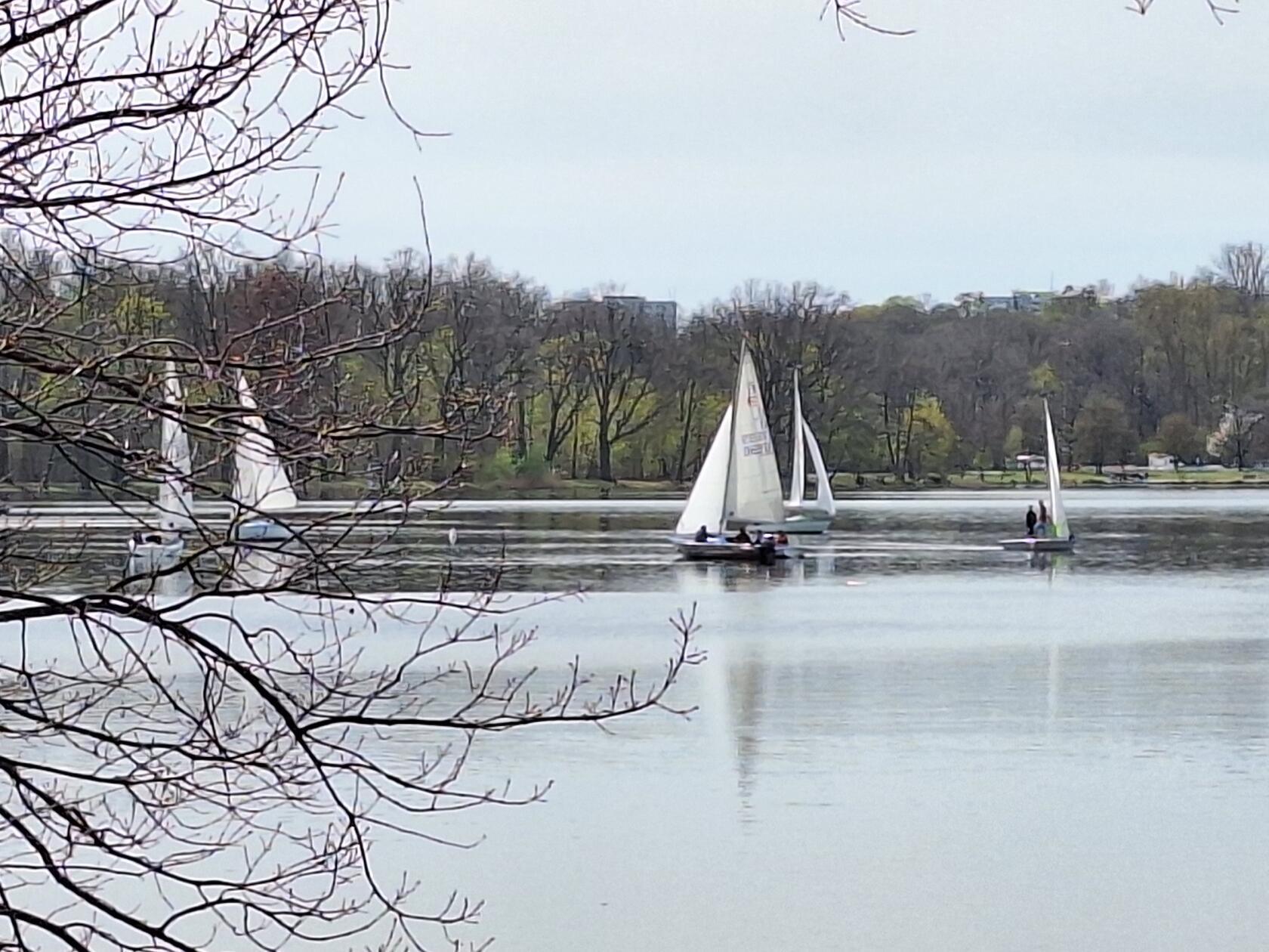 Die ersten Segler bei lauer Luft am Dutzendeich gesehen von unserem Leser.