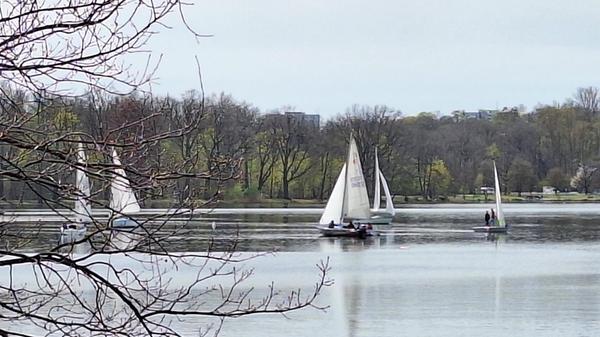 Die ersten Segler bei lauer Luft am Dutzendeich gesehen von unserem Leser.
