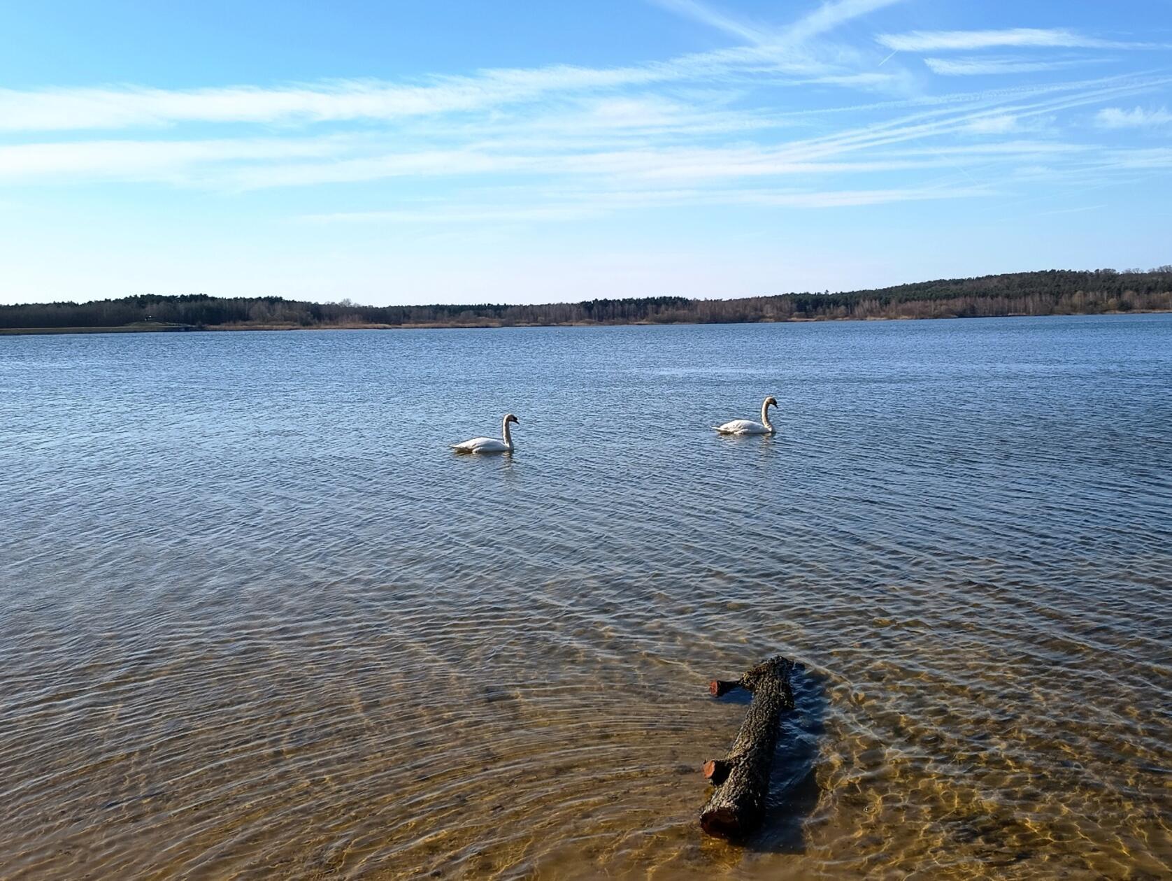 "Schwanensee", so betitelt unser Leser dieses Foto.