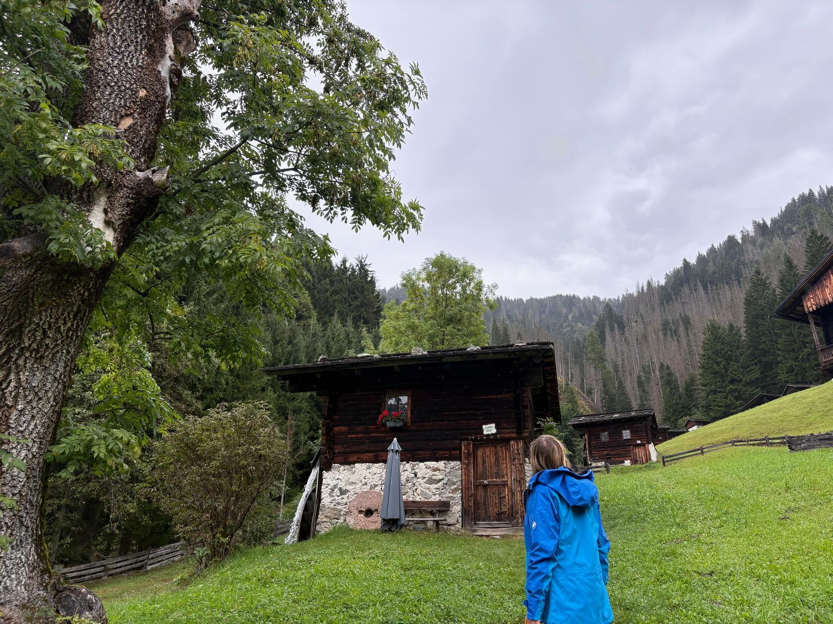 Eine traditionelle Holzhütte am Waldrand, die den typischen Charme der Region widerspiegelt. Picknick am Wasser: