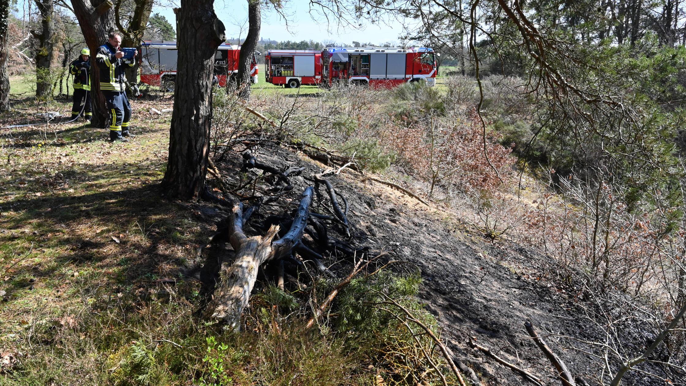 Am Waldesrand in Alterlangen hat auf einer Fläche 
