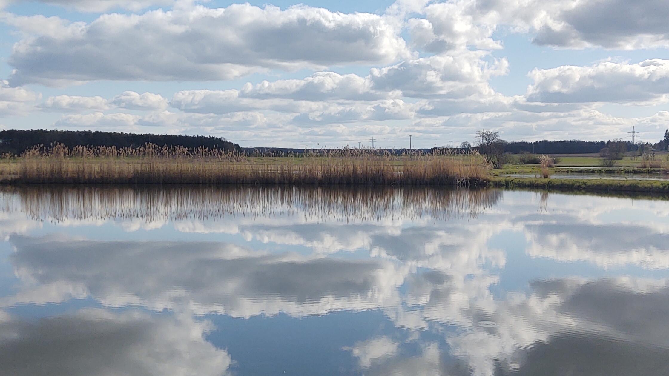 An einem Weiher bei Biengarten spiegelt sich der Himmel wunderschön im Wasser.
