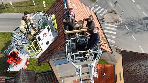 Hilfe für die Störche.