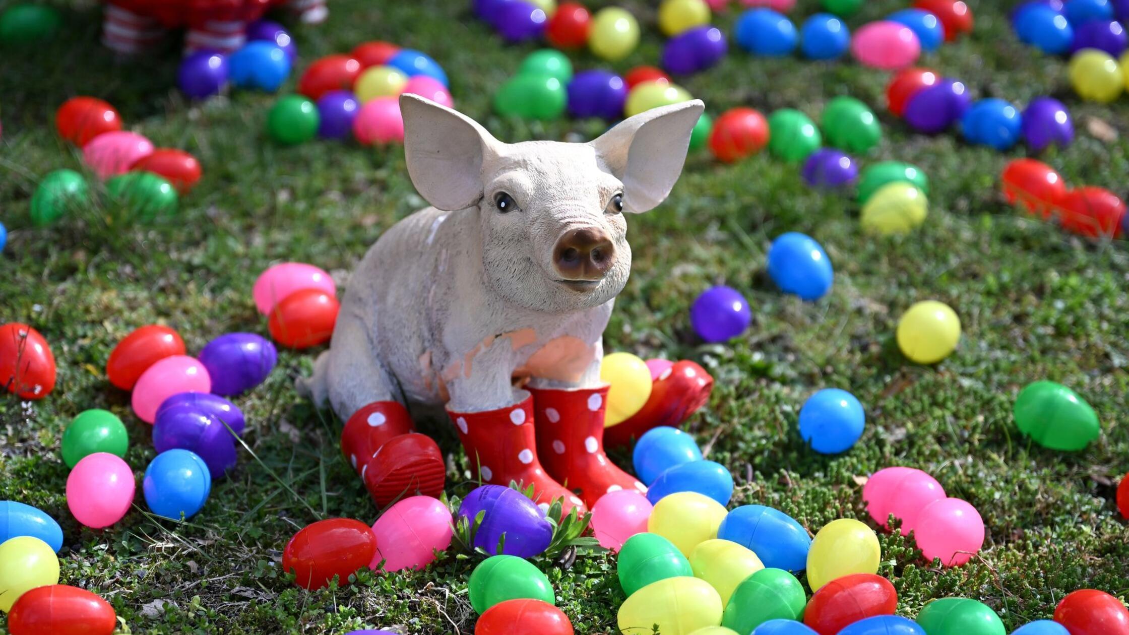 Eine Statue in Schweineform, sitzt in einem Vorgar
