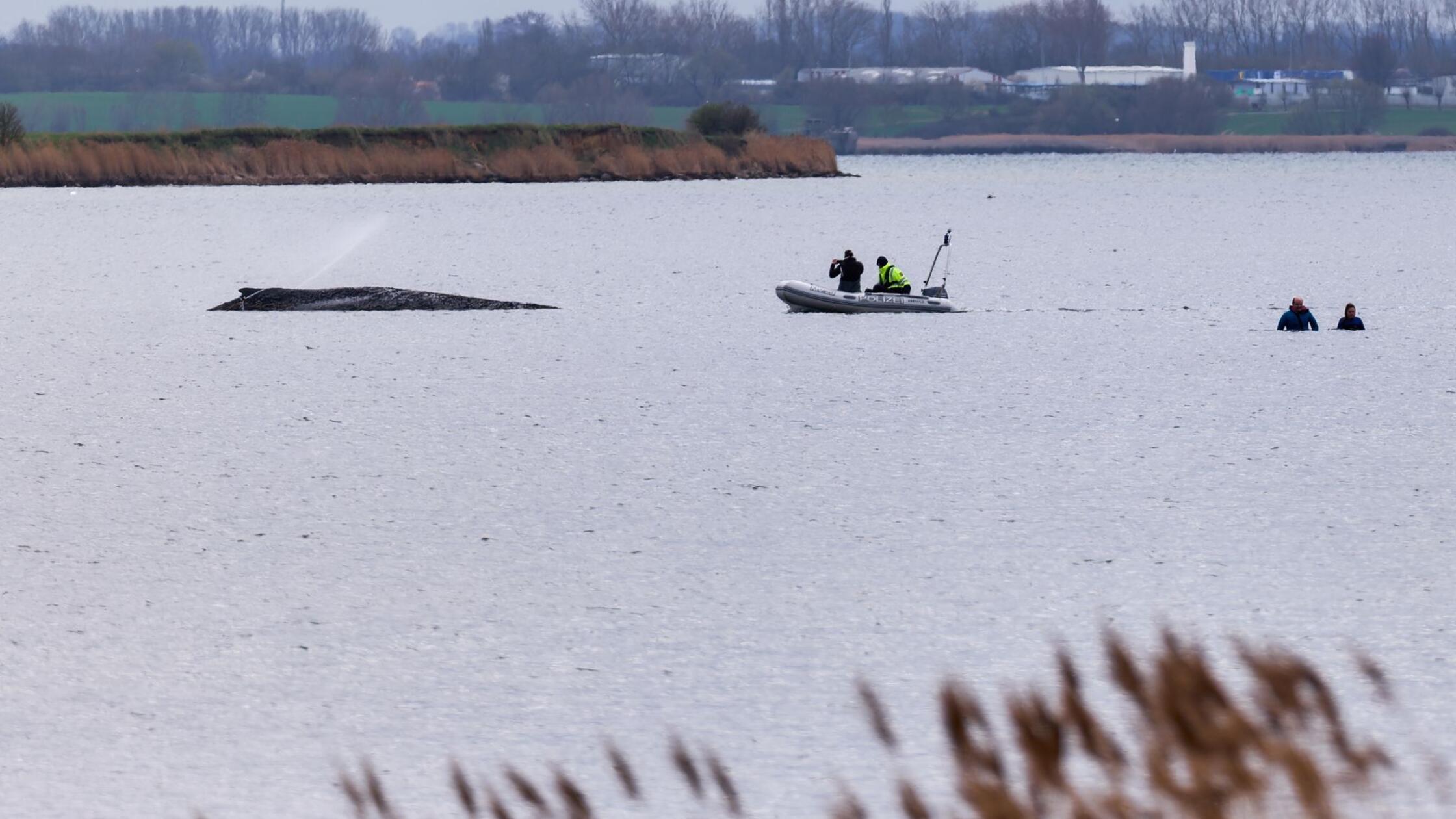 Einsatzkräfte der Feuerwehr benetzen den Rücken de