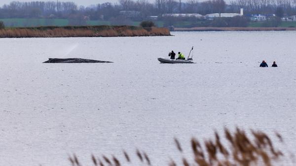 Einsatzkräfte der Feuerwehr benetzen den Rücken de