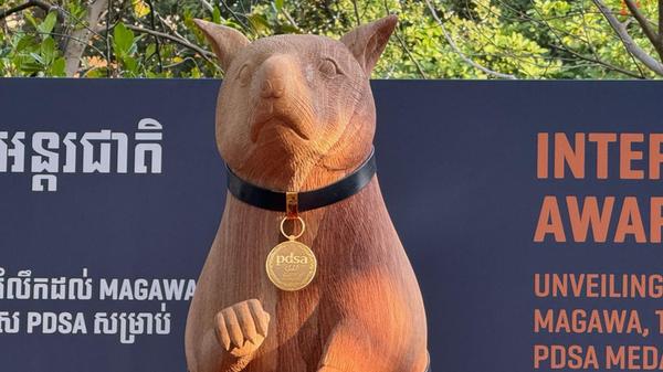 Zum Internationalen Tag der Minenaufklärung (4. Ap