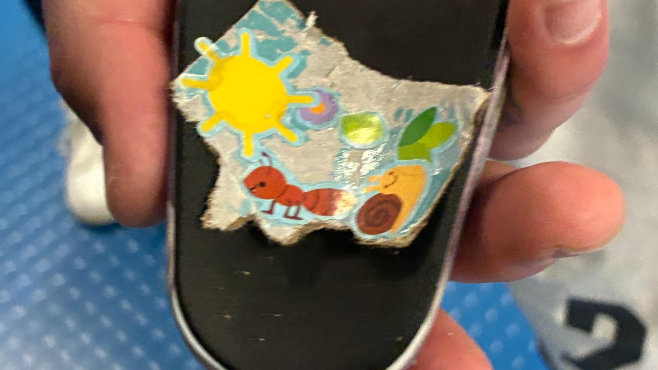 Fußball, Männer: Bundesliga, TSG 1899 Hoffenheim -