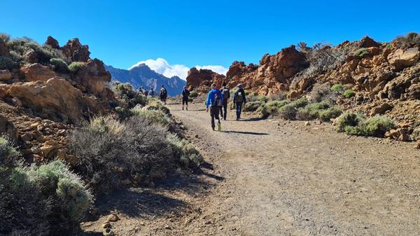 Die Insel Teneriffa ist bei Wanderern beliebt. (zu