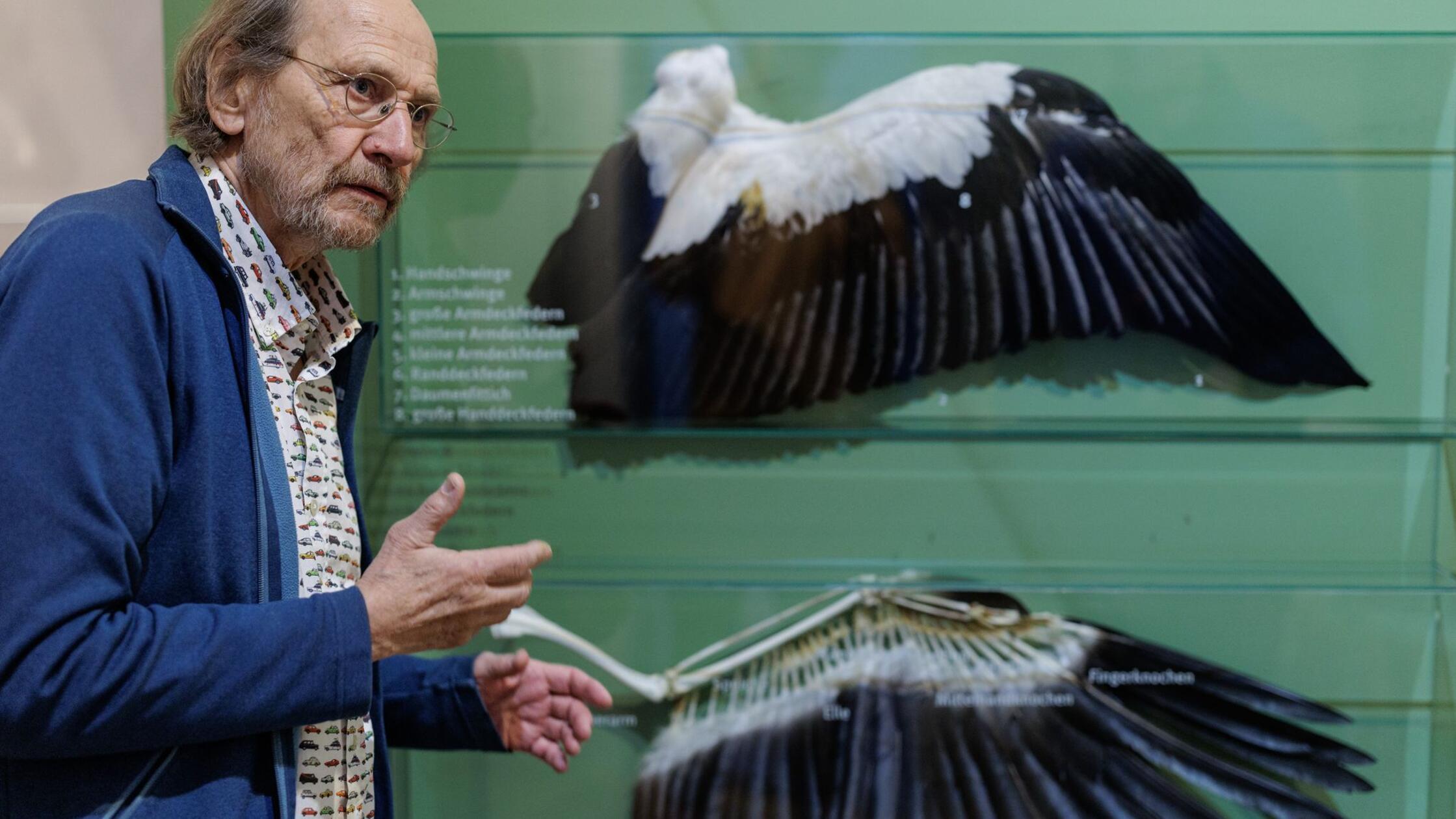 „Storchenvater“ und Autor Alfons Rolf Bense führt 