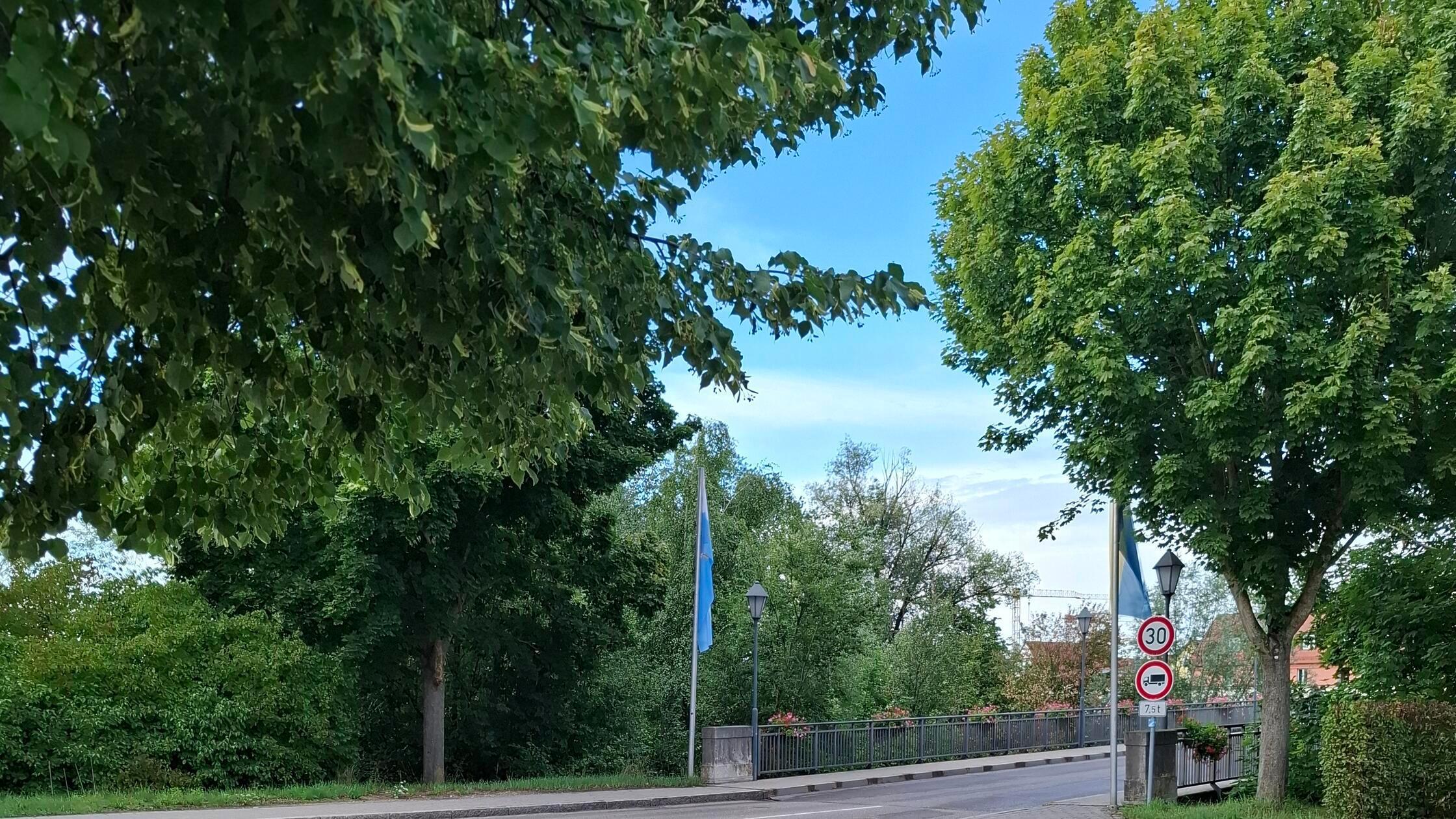 Jungstorch Altmühlbrücke 2025