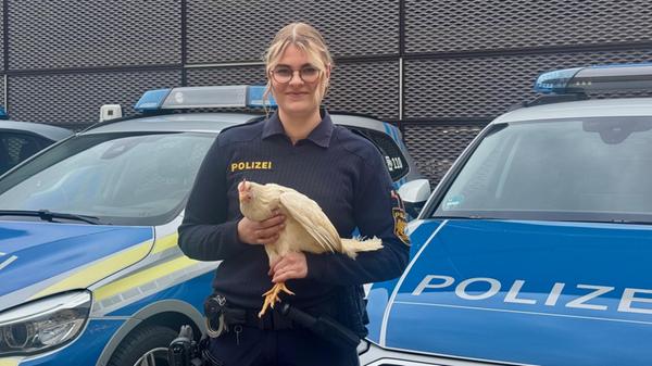 Hühnerfund in Regensburg