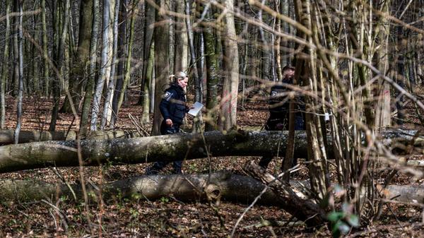 Einsatzkräfte der Polizei stehen in einem Waldstüc