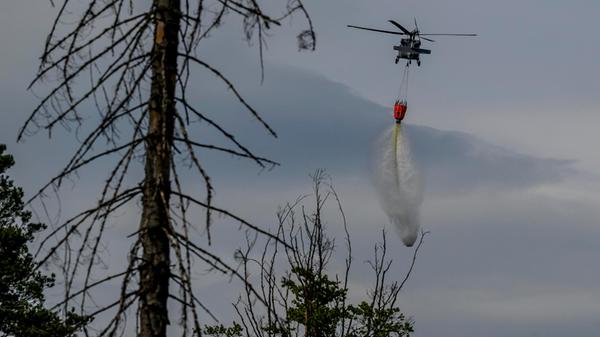 Waldbrand im Nationalpark Böhmische Schweiz