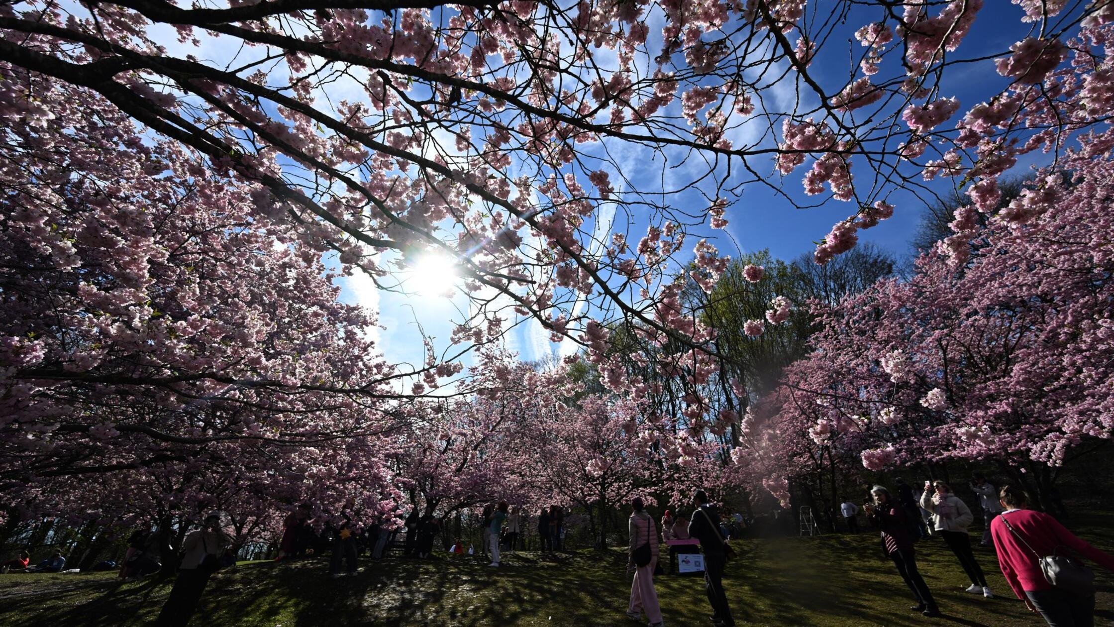 Frühling in Sichtweite: Viel Sonne und milde Temperaturen