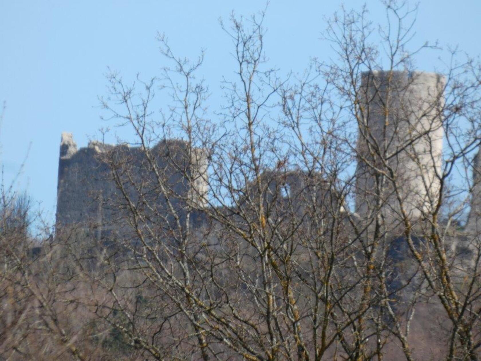 Die Burgruine Wolfstein mal aus einer anderen Perspektive, fotografiert von Leserin Rosy Treu.