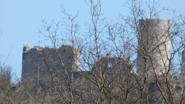 Die Burgruine Wolfstein mal aus einer anderen Perspektive, fotografiert von Leserin Rosy Treu.