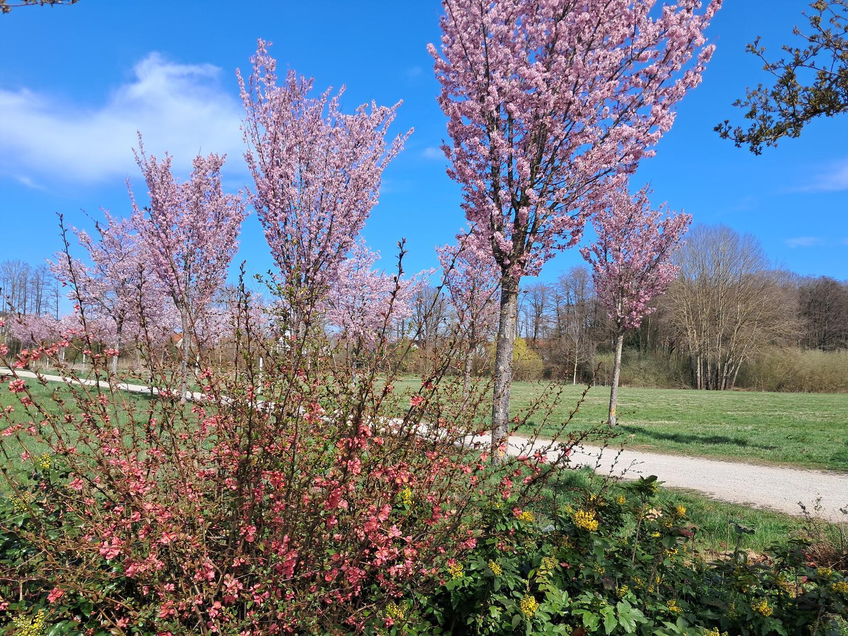 Am Riedl-Weiher hat Leserin Rosy Treu dieses Bild gemacht.