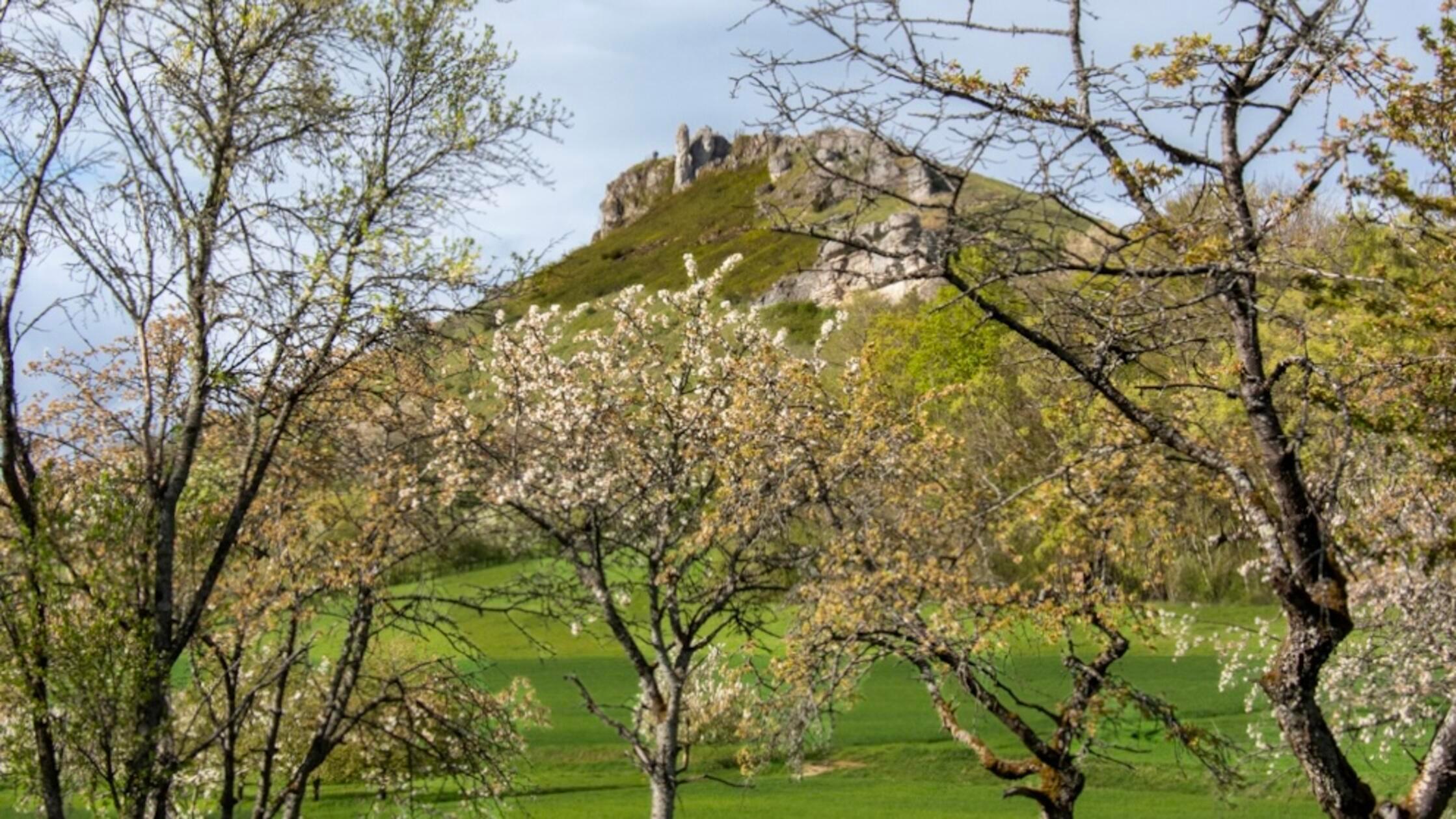 Unsere Leserin hat uns sonnig hübsche Impressionen vom Walberla geschickt.
