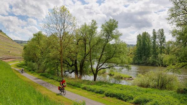 Cycle path on the Main, near Homburg, Triefenstein