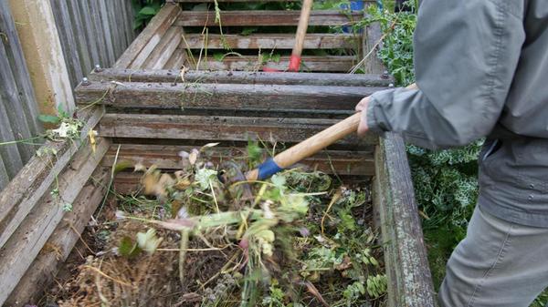 Mit Kompost düngen Nach der langen Winterpause benötigen im Grunde alle Pflanzen jetzt eine Extraportion Dünger - am besten Humus vom eigenen Komposthaufen. Das verrottete Material sollte auf Baumscheiben, Pflanzstreifen und Beete kommen. Der Humus wird dann in den Boden eingearbeitet und gelangt so in den Nährstoffkreislauf. Danach kann es losgehen mit dem Pflanzen und Säen. Wer noch keinen Komposthaufen hat, sollte ihn jetzt anlegen. Dann kann der Gärtner im Jahresverlauf alle Gartenabfälle problemlos entsorgen. Doch Kompostieren ist eine Kunst und keineswegs einfach. Insofern lohnt es sich, wenn man sich in die Materie vorher gut einliest und erst dann einen Kompost baut oder kauft.