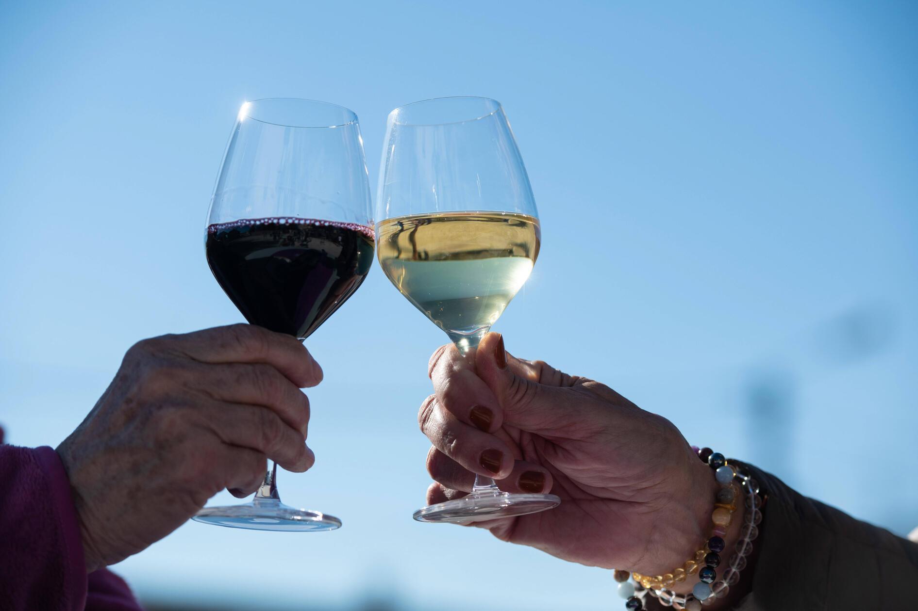 Im kleinen Foyer der Meistersingerhalle geht am Sonntag das größte Weintasting der Region über die Bühne. Bei der Veranstaltung „Franken schmecken“ kann das Publikum über 250 Weine aus Franken probieren. Die Angebotspalette reicht von saftigen Silvanern bis hin zu seidigen Spätburgundern. Los geht das Event, wo rund 30 lokale Winzereien ihre handgemachten Weine vorstellen, um 12 Uhr.