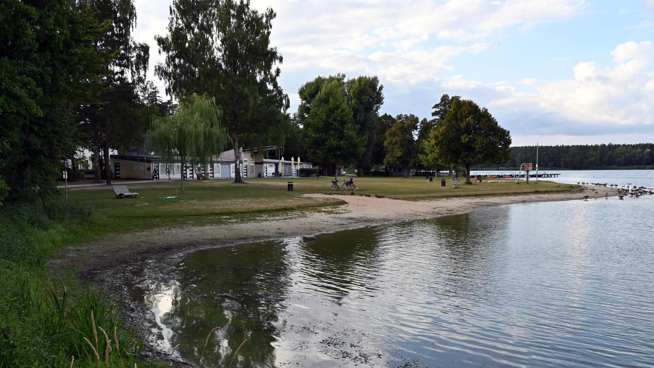 Dechsendorfer Weiher Niedrigwasser