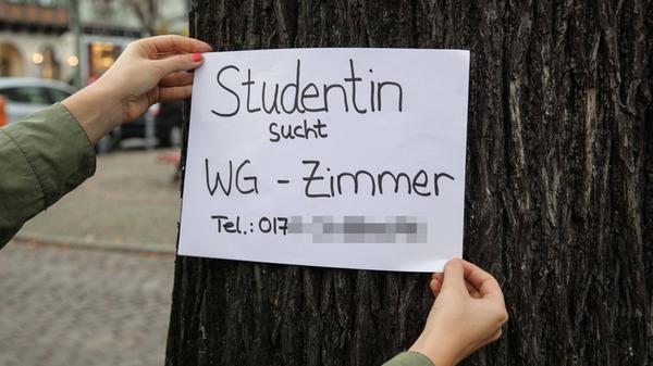 Wohnungsgesuche von Studenten an Anschlagsäule und
