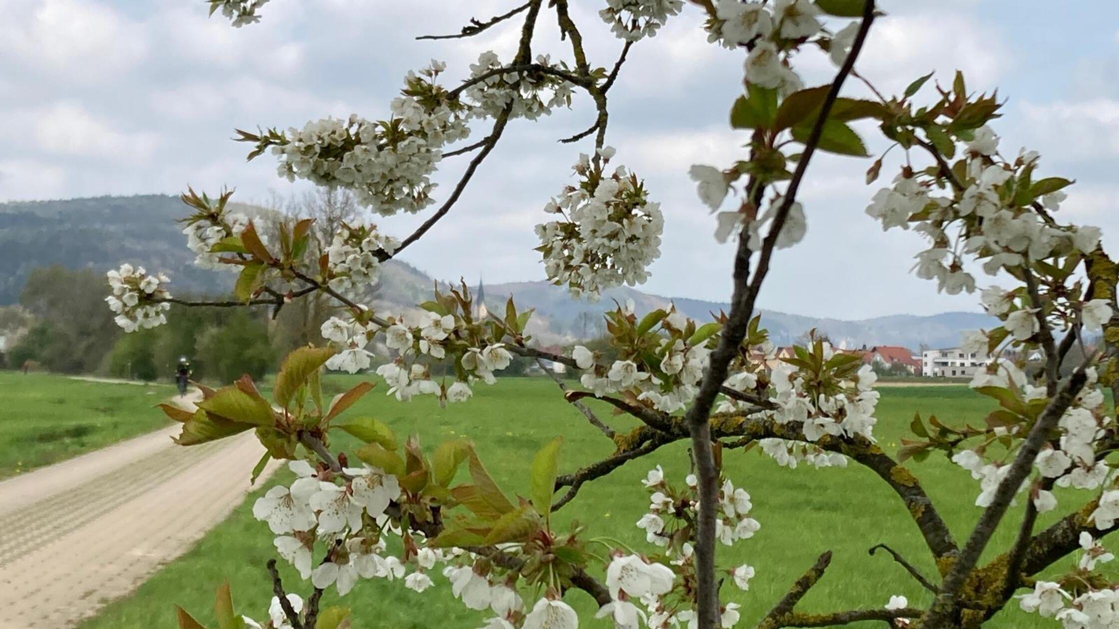 Dieses Bild hat unser Leser, mit Blick auf die Ebermannstädter Kirchturmsspitze von Pretzfeld aus kommend, fotografiert.