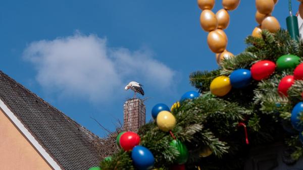 Osterbrunnen in Freystadt mit Storch.