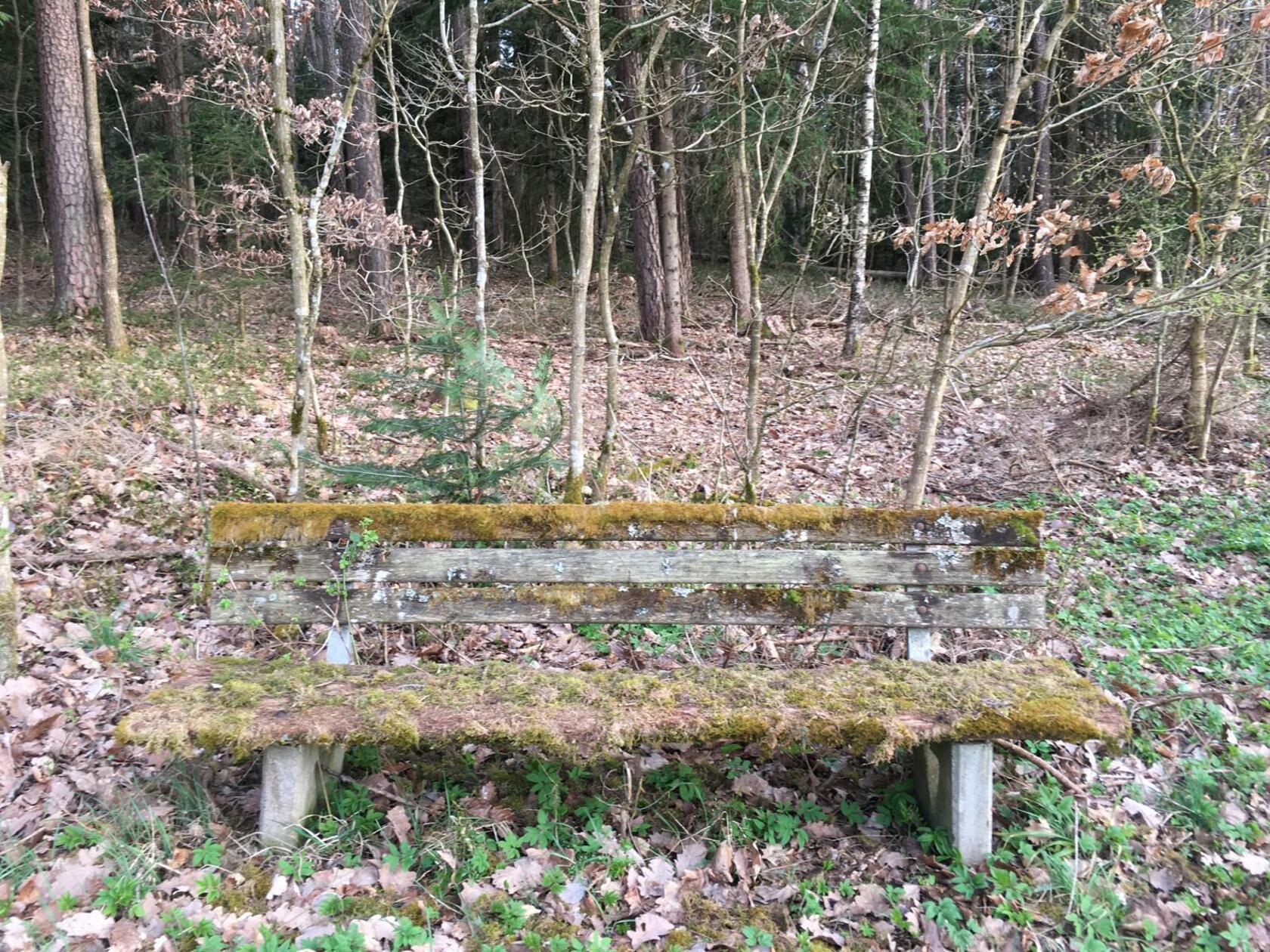 Urige Sitzbank am Waldesrand beim Fußweg von Harrhof nach Altenfelden.