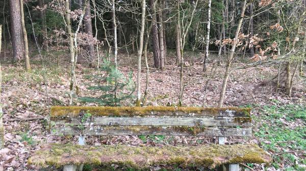 Urige Sitzbank am Waldesrand beim Fußweg von Harrhof nach Altenfelden.