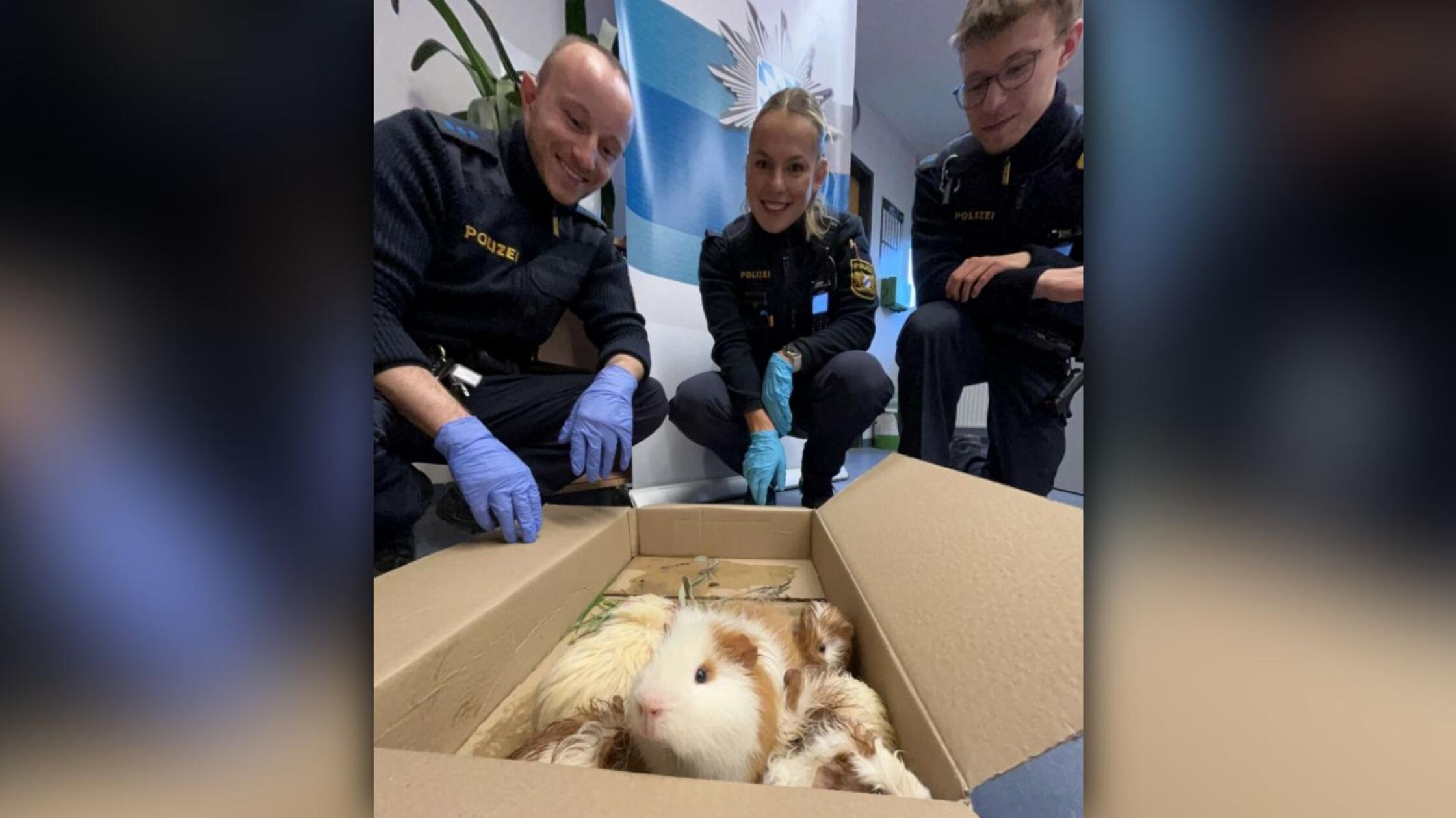 2026-04-09_16-54_bild_erweitern