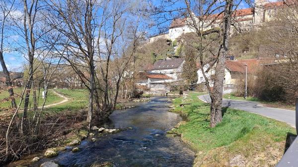Beim Spaziergang an der Lauterach in Kastl hat unsere Leserin Rita Schmidt dieses Bild gemacht.