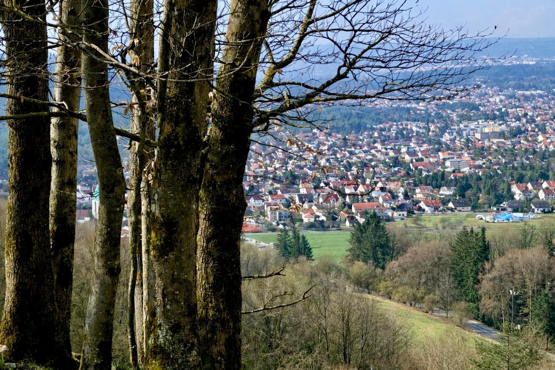 Einen schönen Ausblick vom Wolfstein aus genoss Leser Karl Biller.