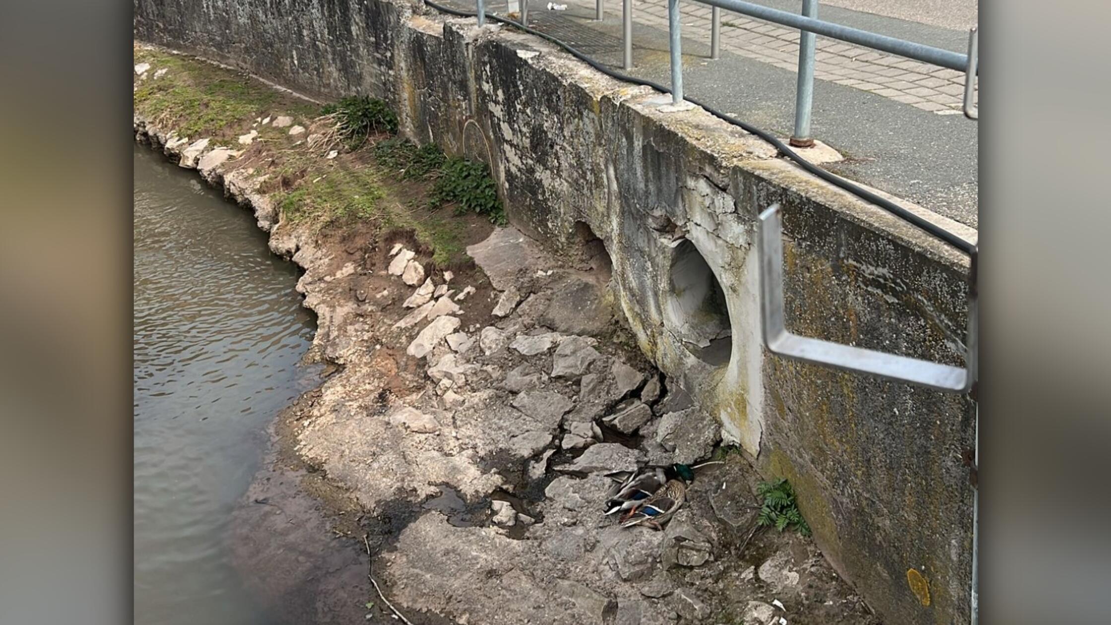 2026-04-10_15-03_bild_erweitern