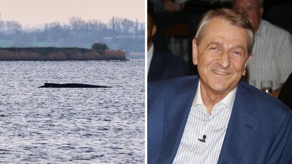 2026-04-10_20-24_collage