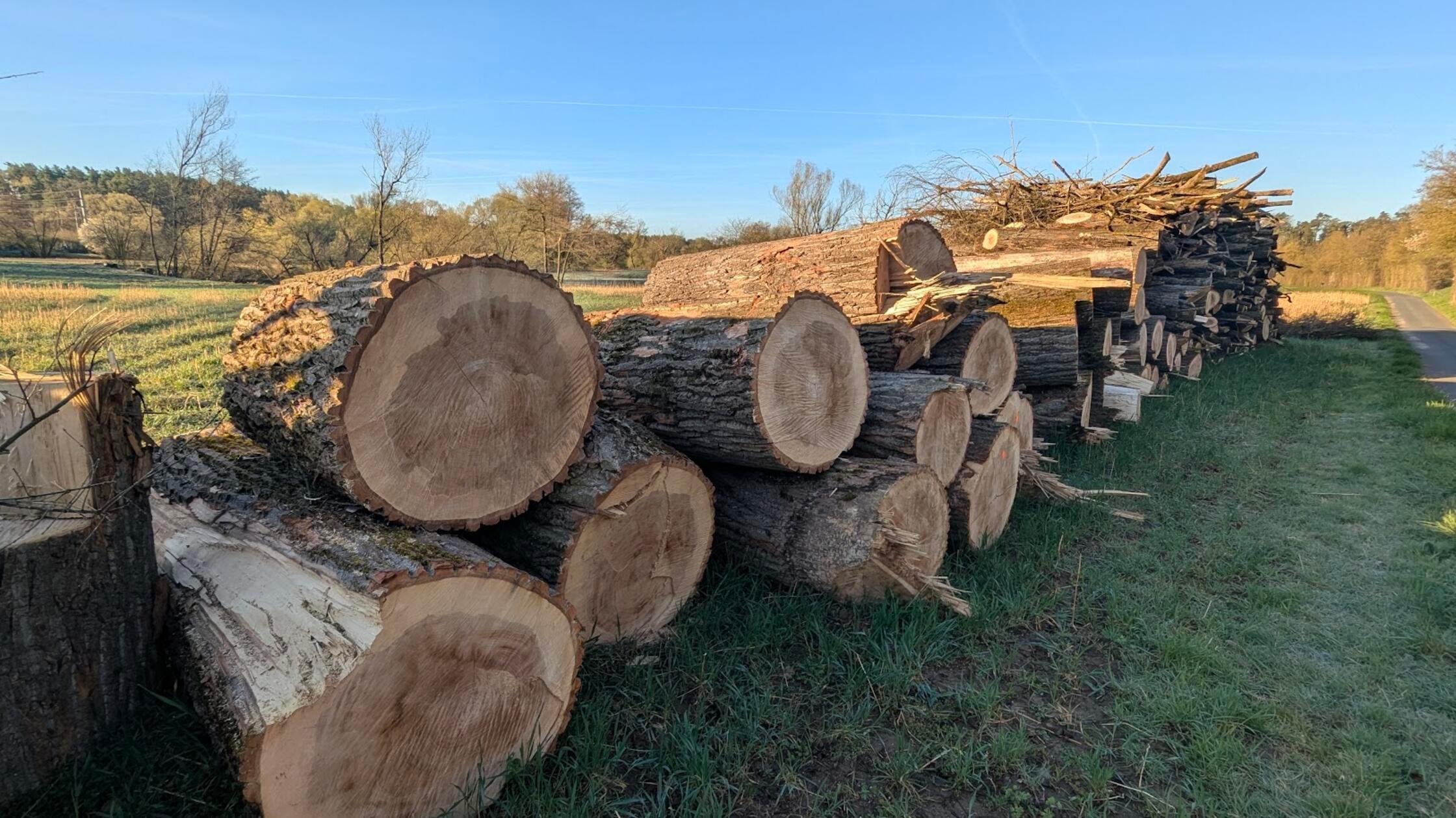 PXL_20260407_054435755